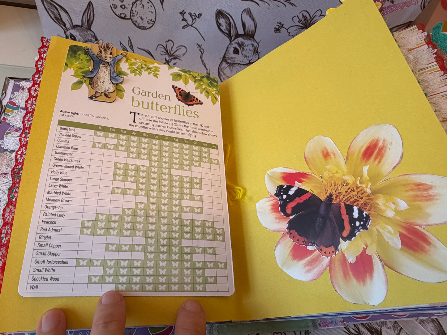 Easter Spring Rabbit Journal